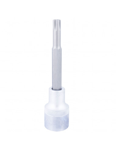 DADO CON PUNTA RIBE BIT CUADRANTE 1/2" M7